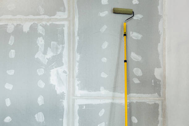 Professional Dry wall and painting in Carle Place, NY